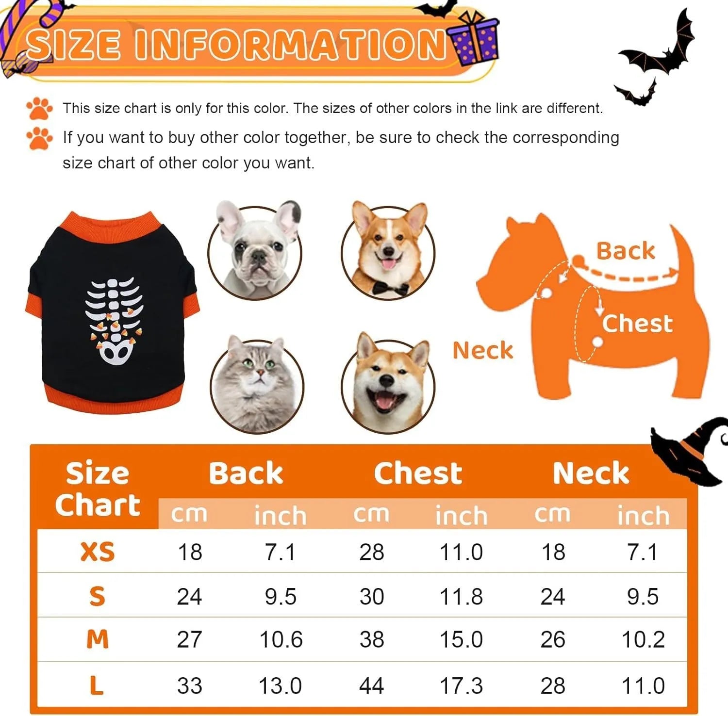 Orange dog sweatshirt with white skeleton bones print on a small Dachshund.