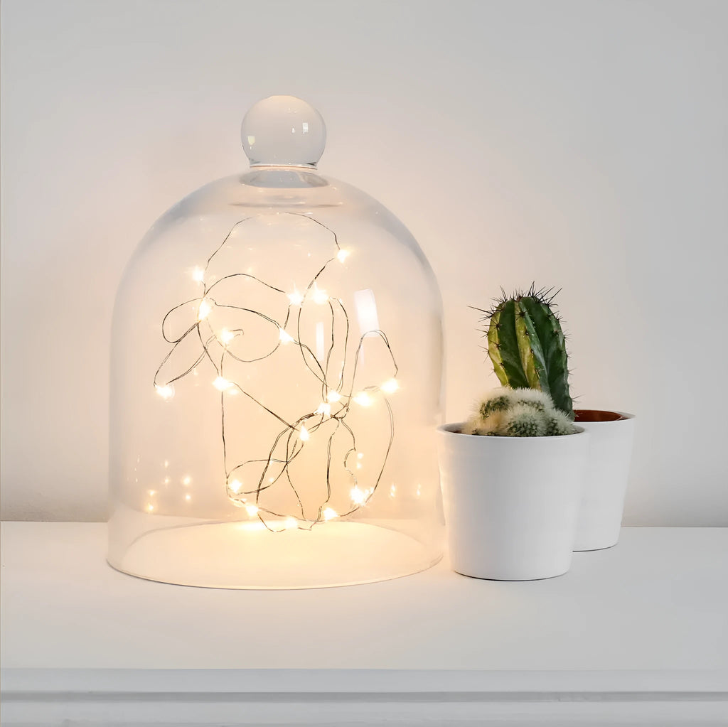 Close-up of a 2 metre long flexible copper wire LED light string with 20 small lights and a white plastic battery box.