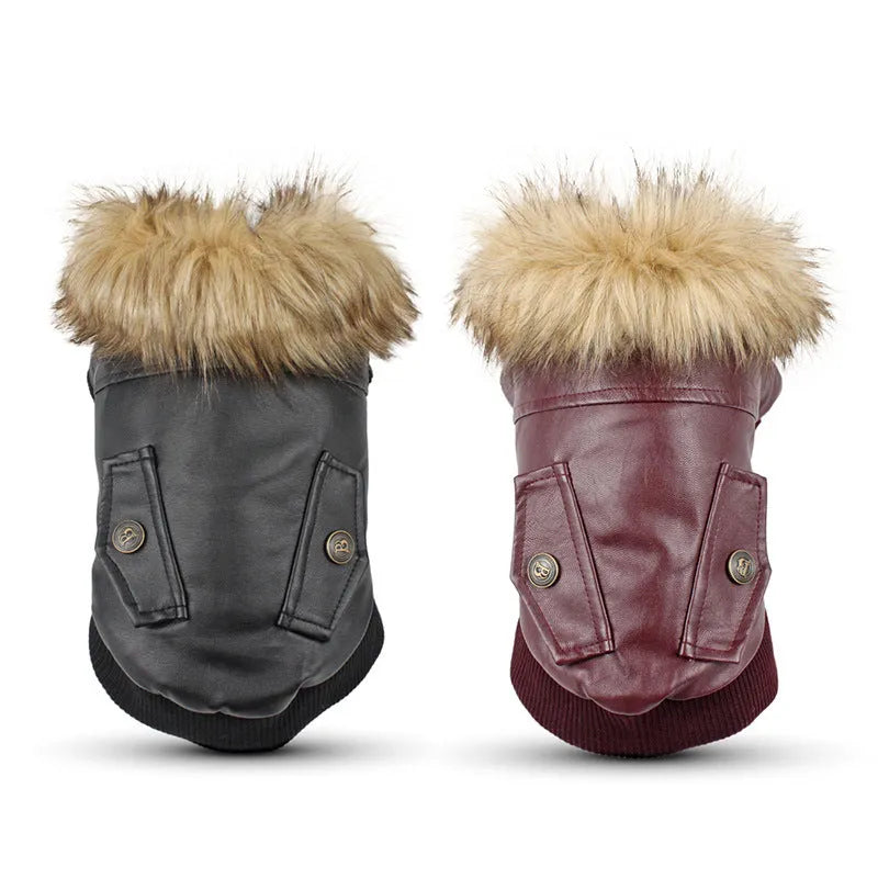 Leather dog coat with faux fur collar in British style for autumn and winter wear