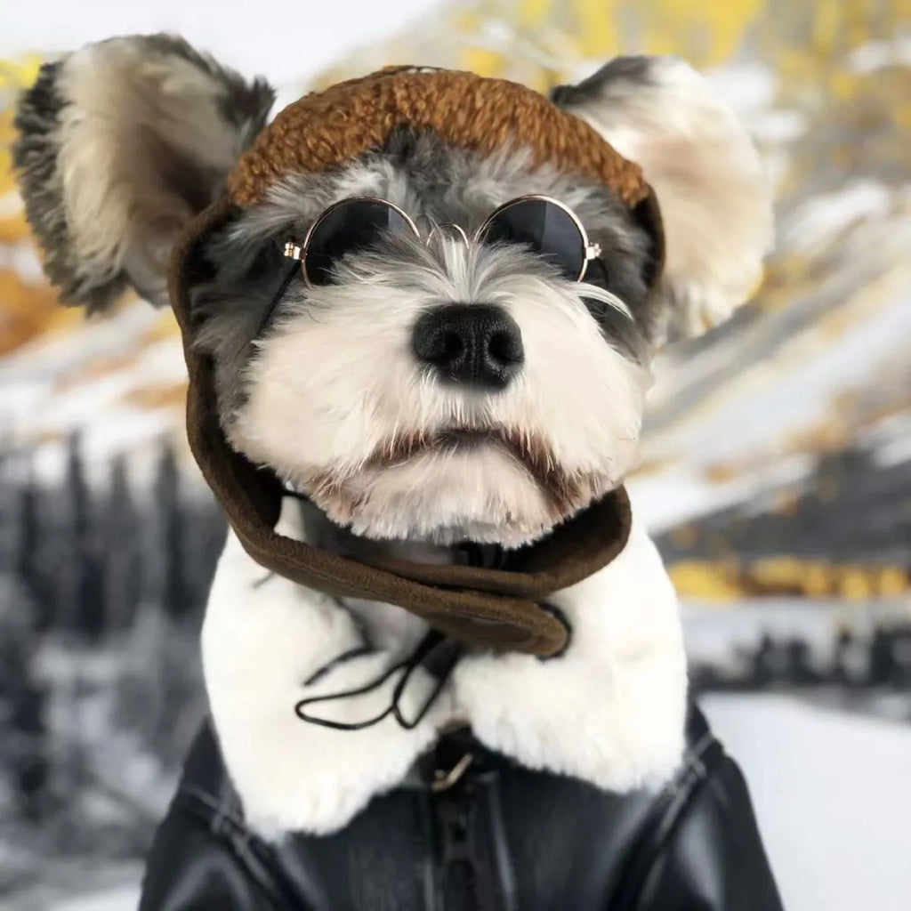 Black leather dog jacket shown on a medium-sized dog, with brown vest option visible.