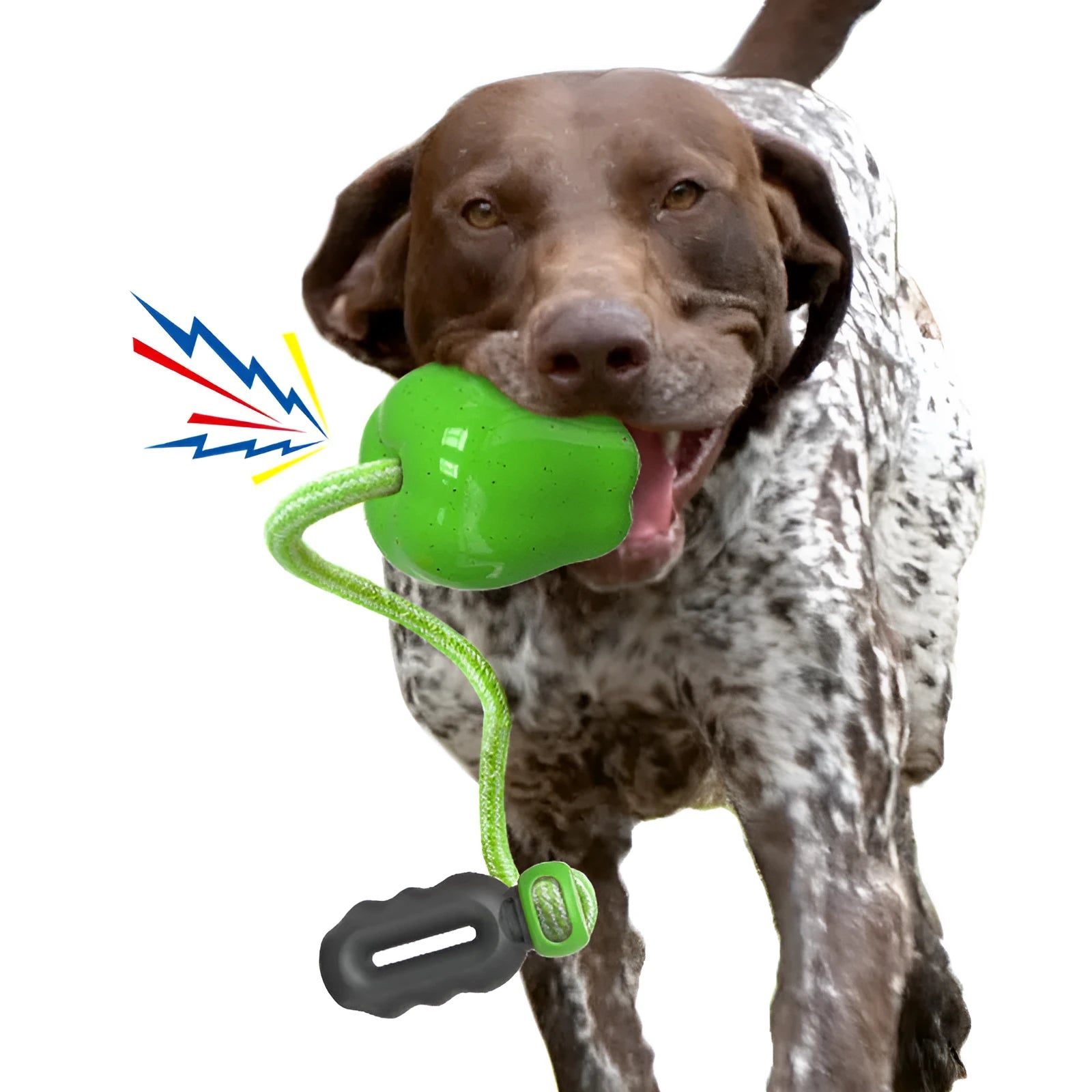 Green plastic dog molar chew toy with dropping ball food dispenser mechanism