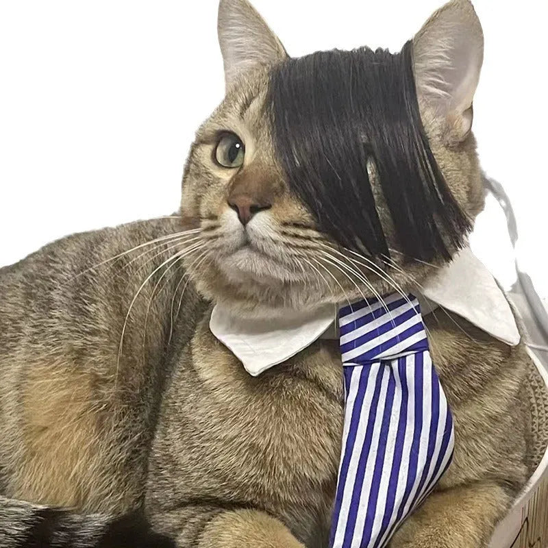 Black polyester cat wig with imitation braid, 20 cm length, for pet dress-up.