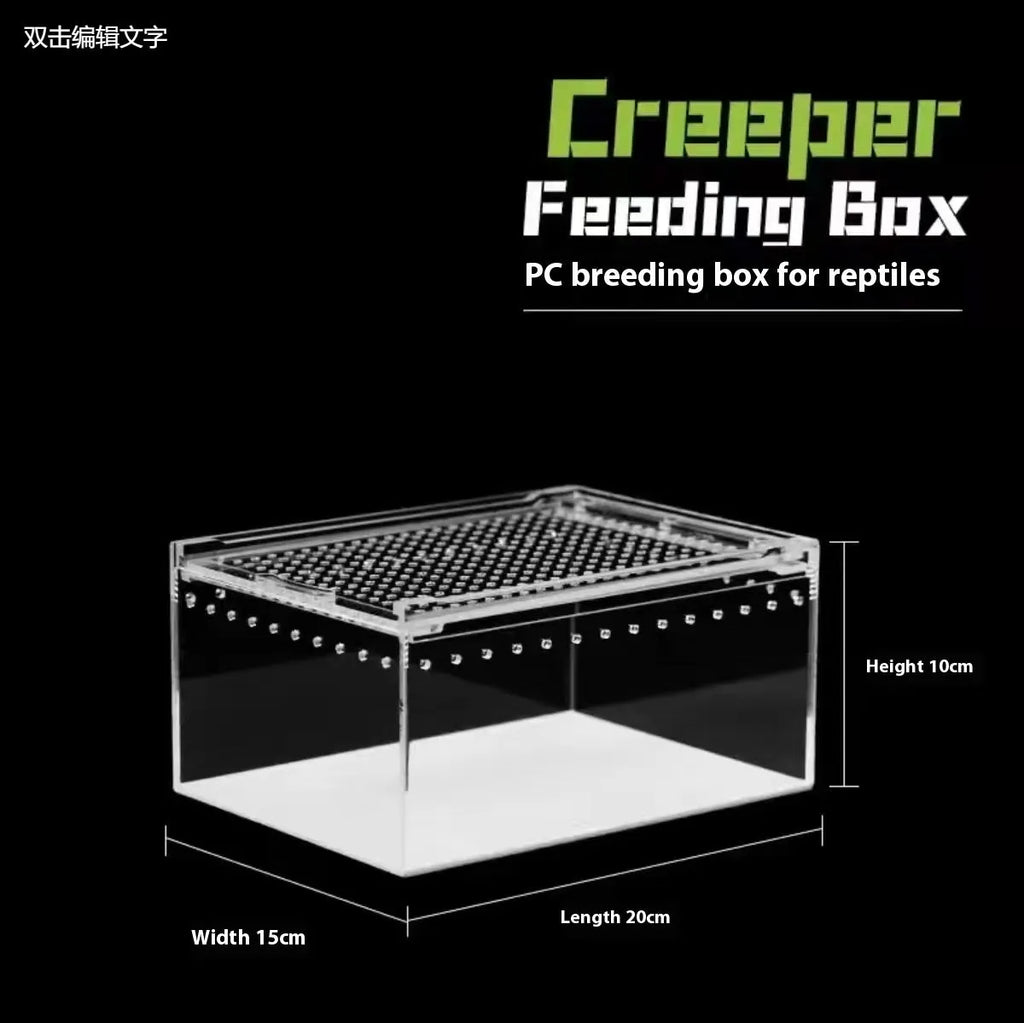 Transparent acrylic reptile feeding box enclosure for pet lizards or snakes.