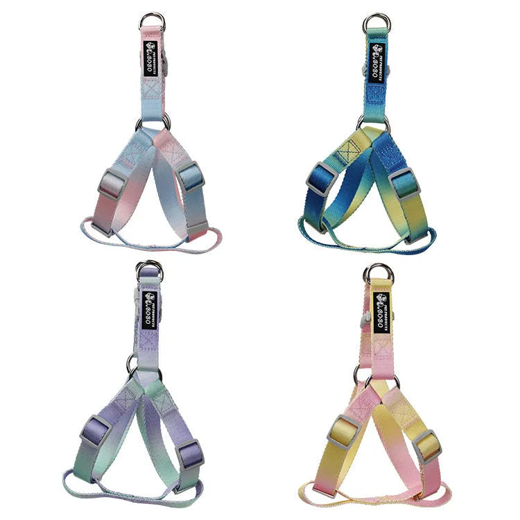 Gradient colour nylon dog leash and collar set showing blended pink, blue, yellow, purple, and green hues
