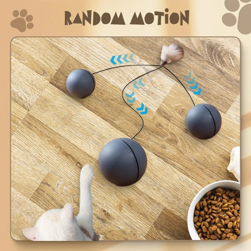 Blue and orange automatic rolling ball pet toy for cats and dogs on a wooden floor.