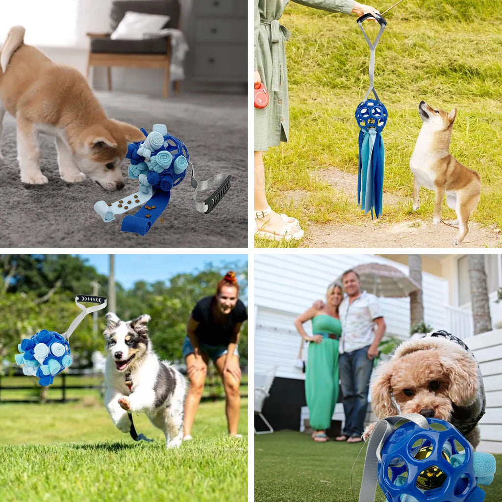 Interactive hollow TPR pet toy ball with sound bells in five colour options