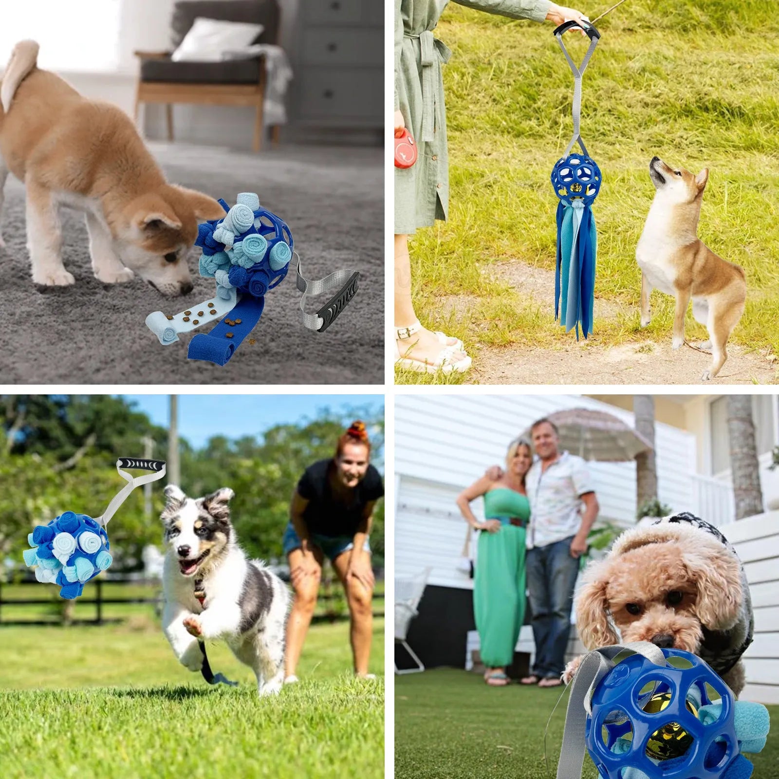Interactive hollow TPR pet toy ball with sound bells in five colour options