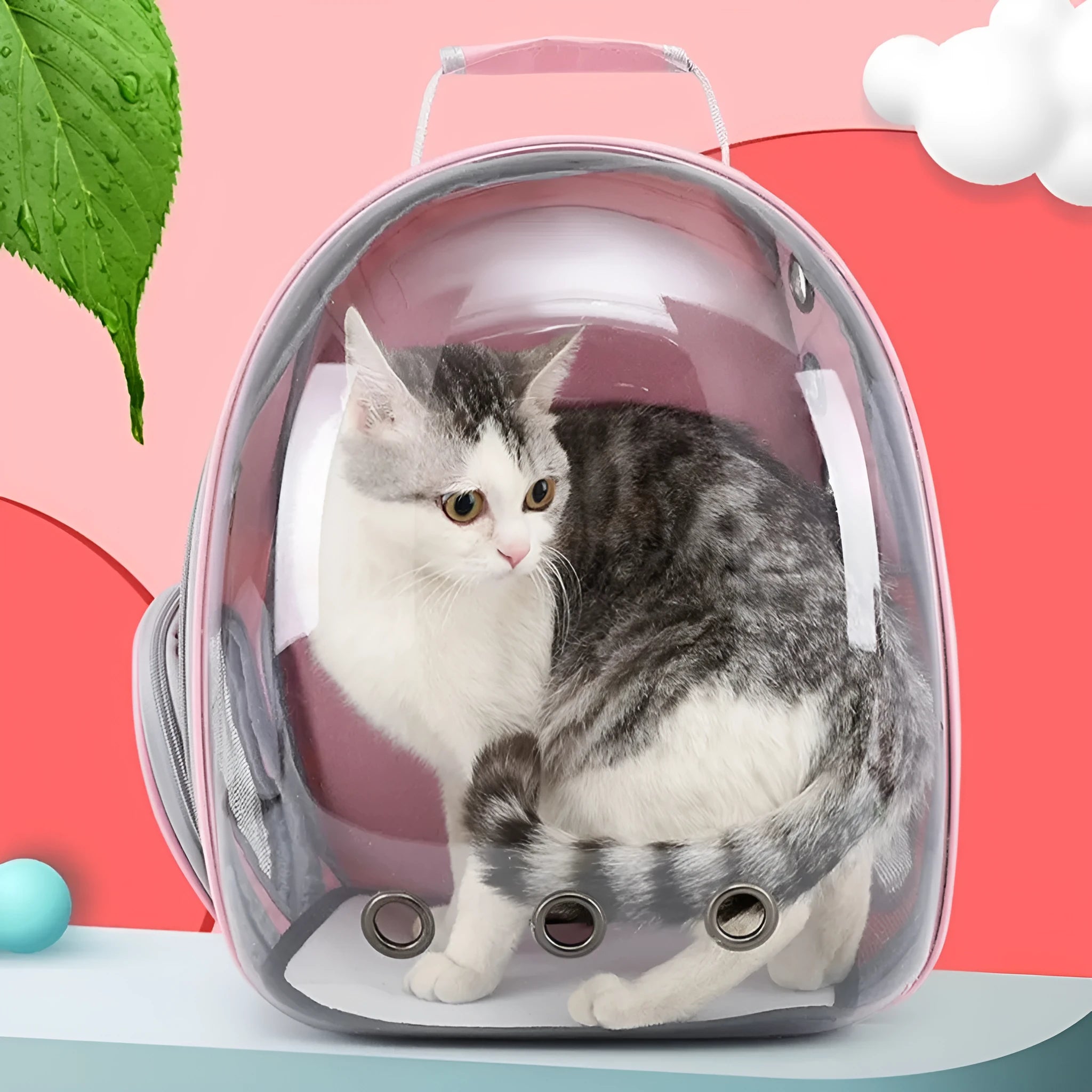 Medium capacity PC plastic pet carrier bag with side opening in astronaut design for cats and small dogs