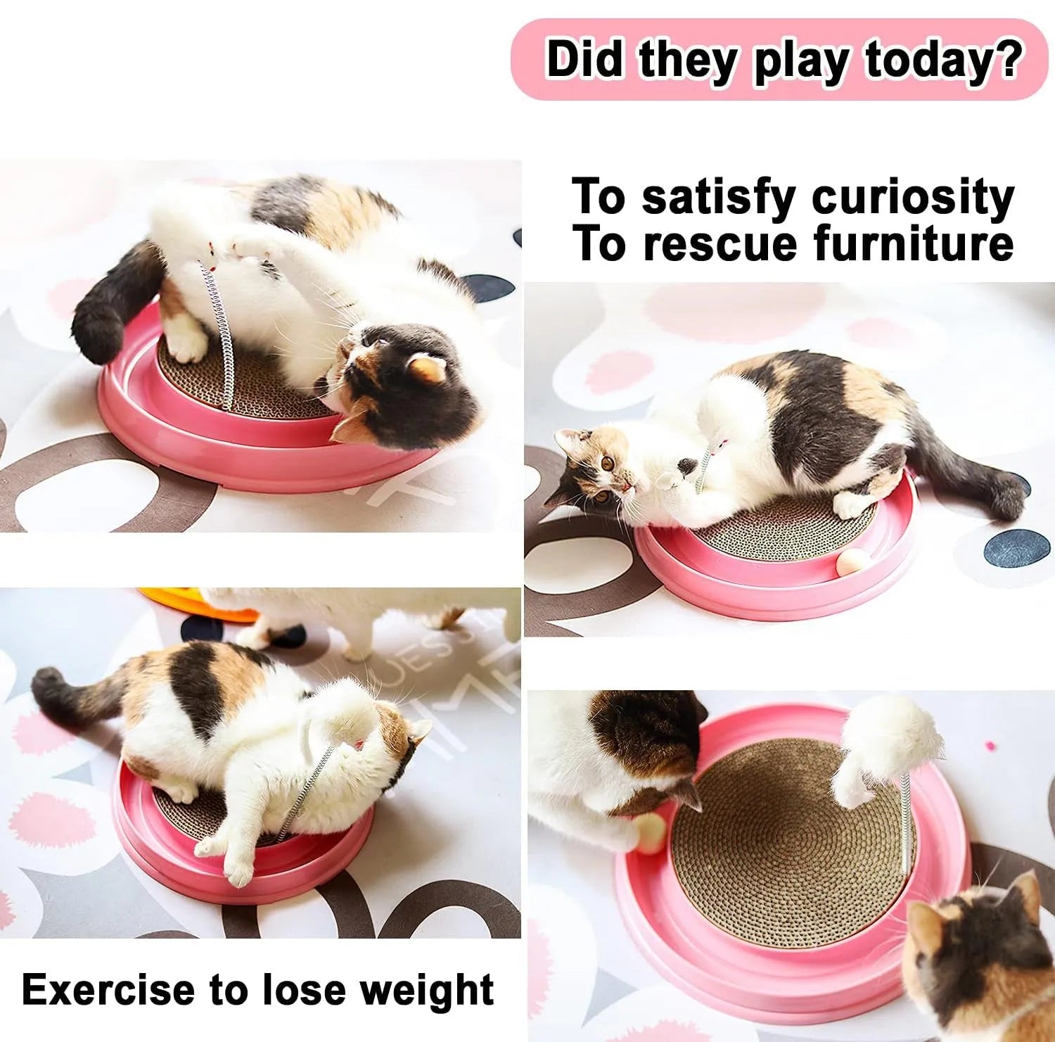 Blue circular cat scratcher toy with ball track and replaceable cardboard scratching pad