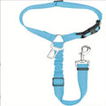 Nylon dog leash with metal buckle in one of eleven colour options including green, blue, pink and red.