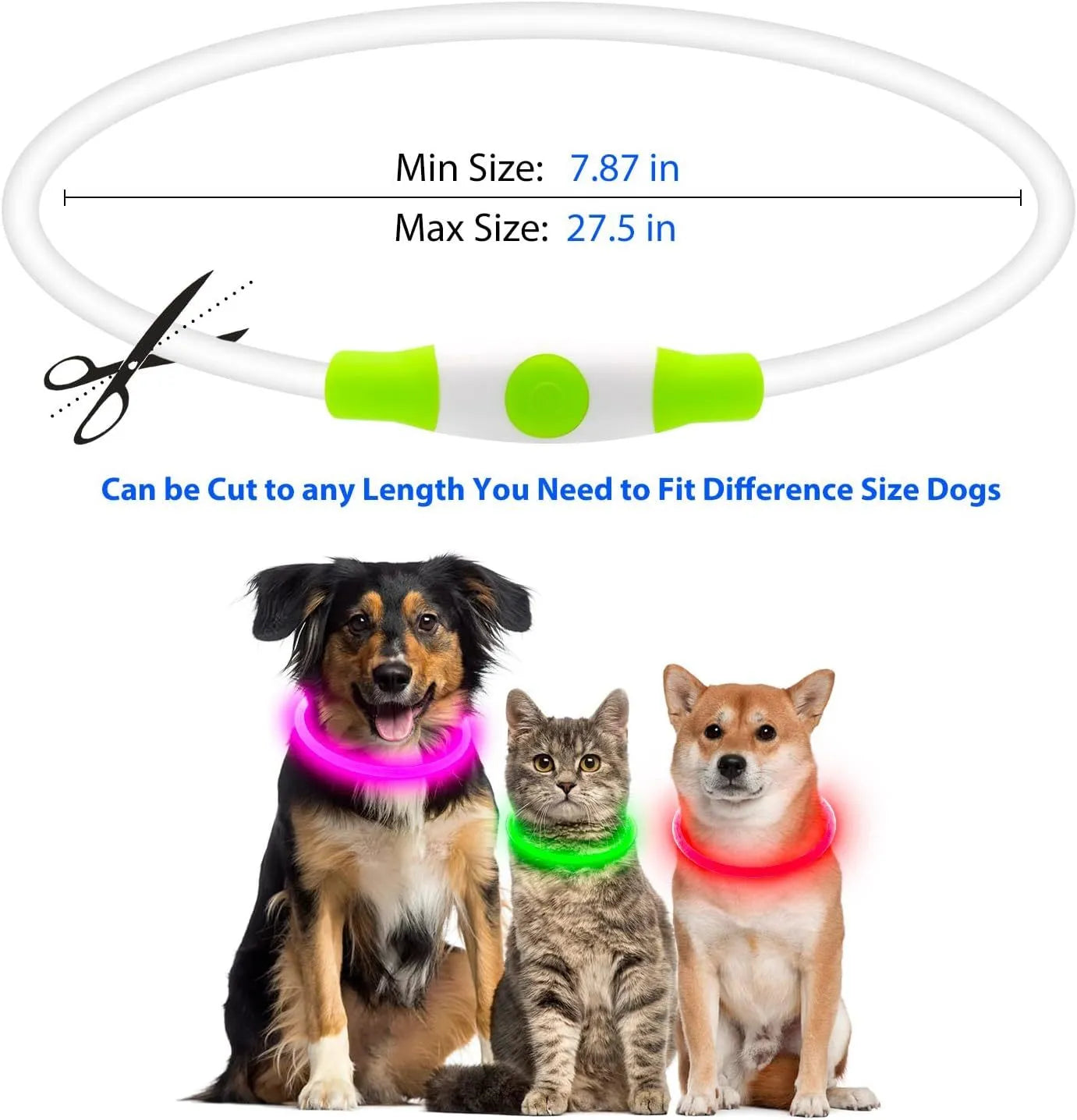 Blue USB rechargeable LED dog collar glowing around dog's neck with adjustable 70cm length