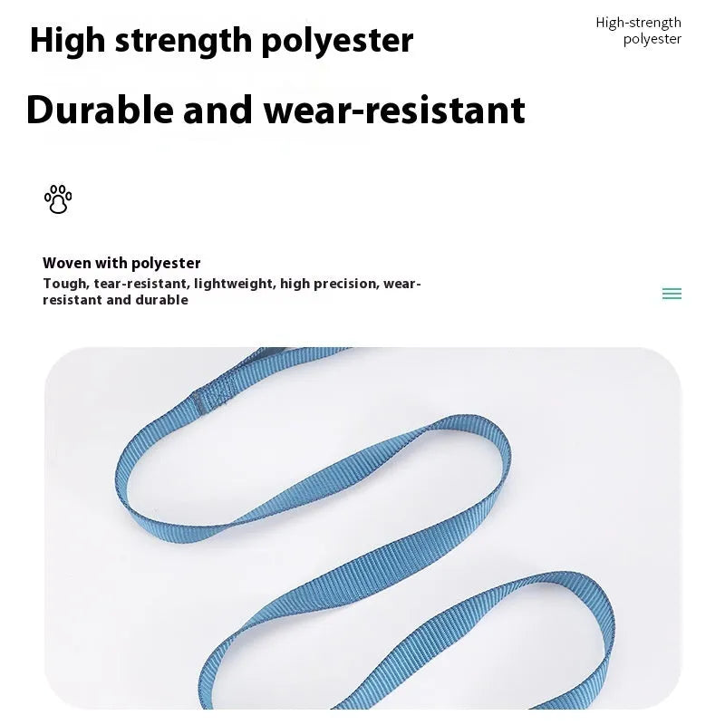 Solid colour polyester dog lead showing four width options and multiple colour choices on a 120cm rope.