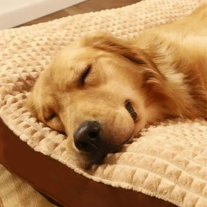 Coffee coloured dog bed with a removable soft fleece blanket, shown in a medium size.