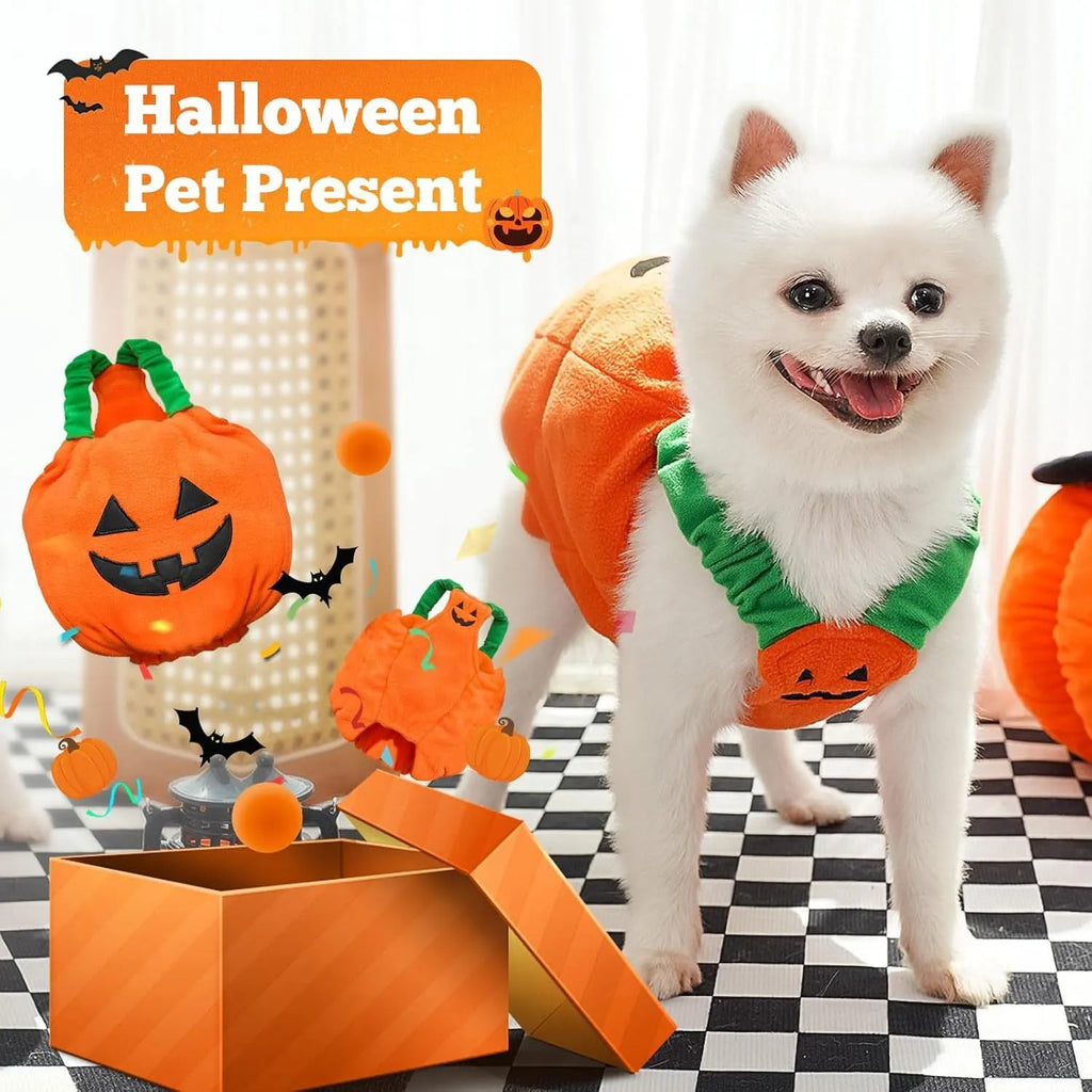 Orange plush pumpkin Halloween costume for small dog on mannequin