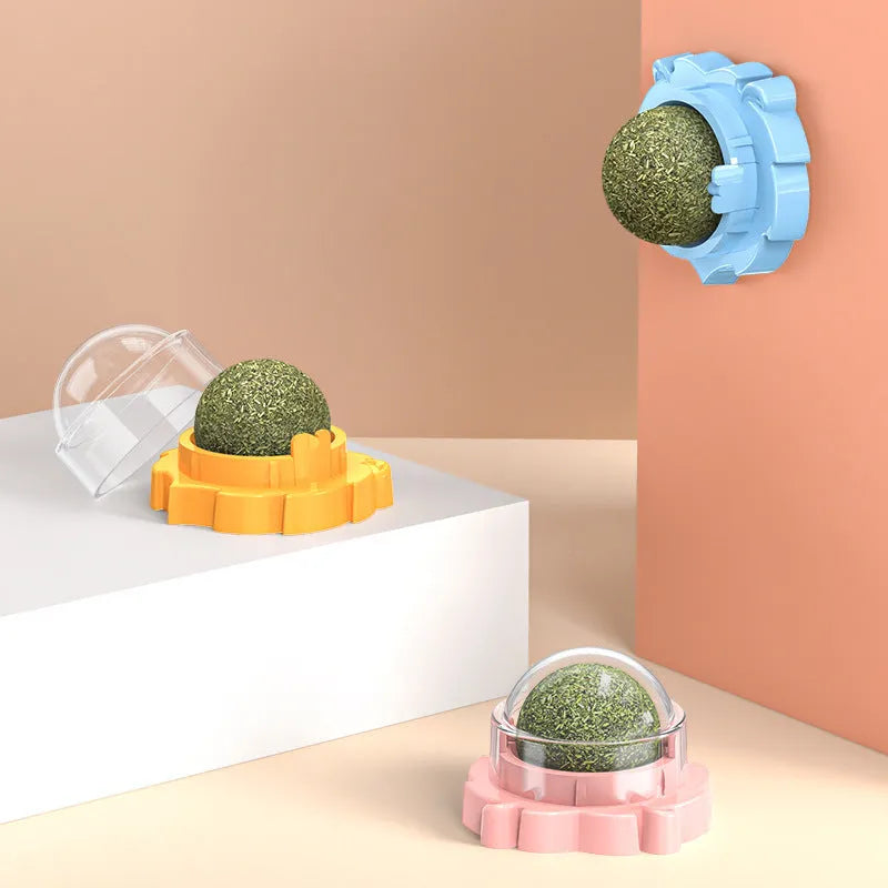 Orange, pink, and blue adhesive molar-shaped cat toys with a sticky base.