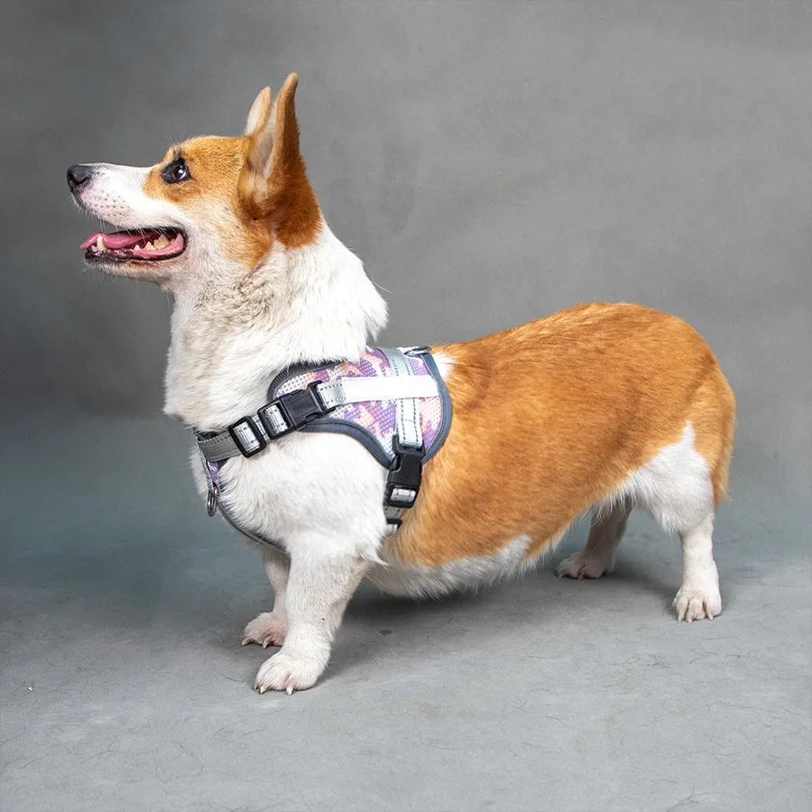 Colourful reflective pet harness with anti-strangulation neck protection in polyester material