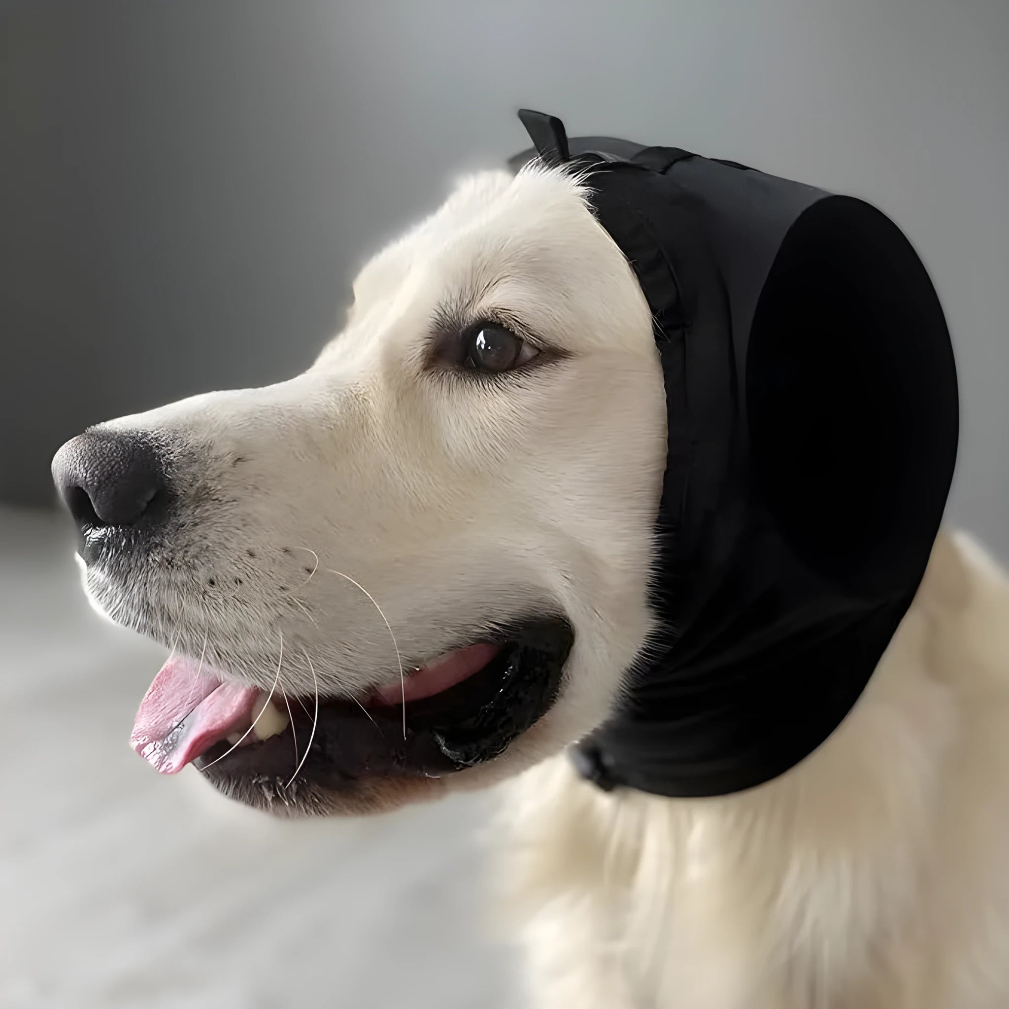 Black nylon dog earmuffs for noise reduction against thunder and fireworks, side view