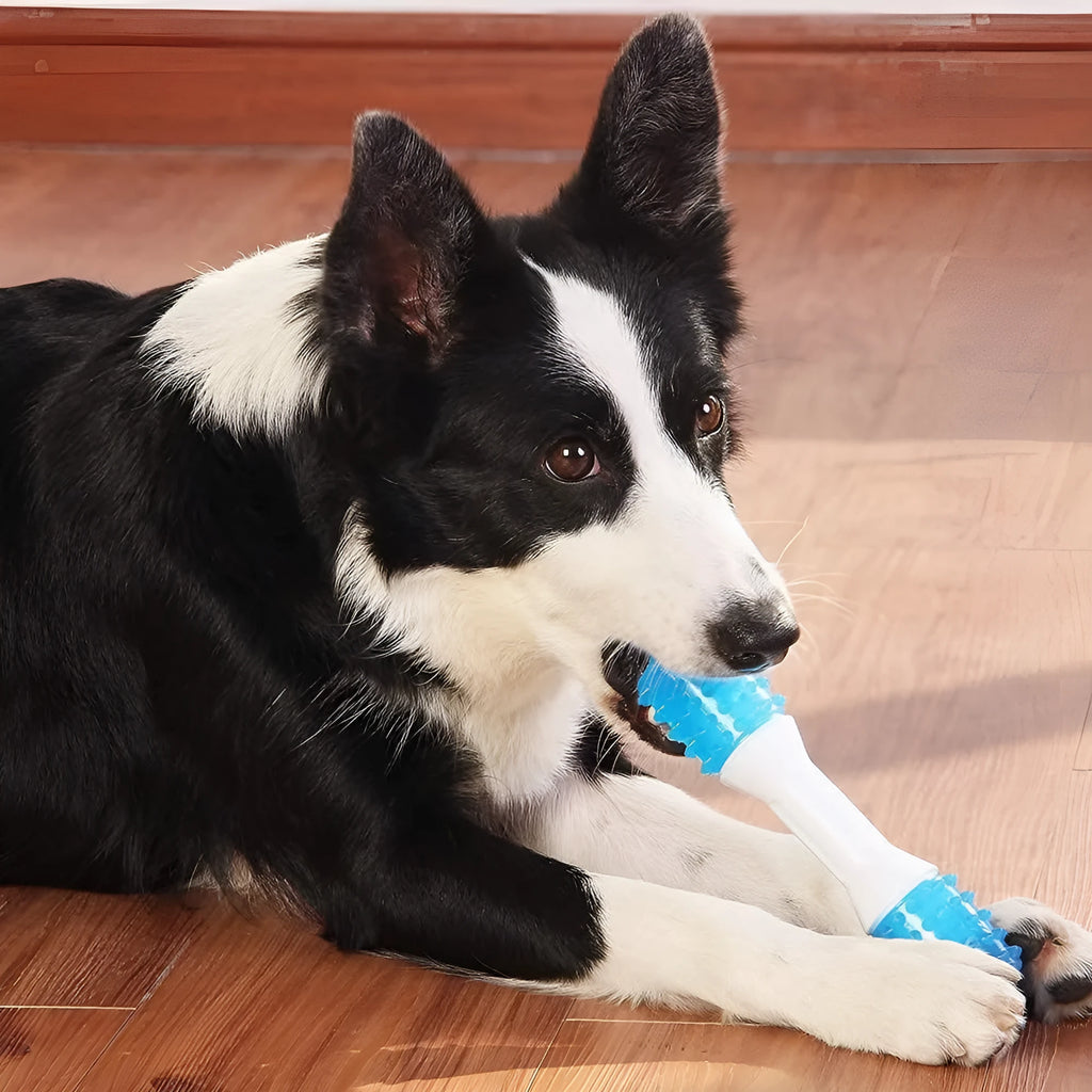 Dual-colour puppy teething chew toy made from PU rubber for dogs aged 2-8 months