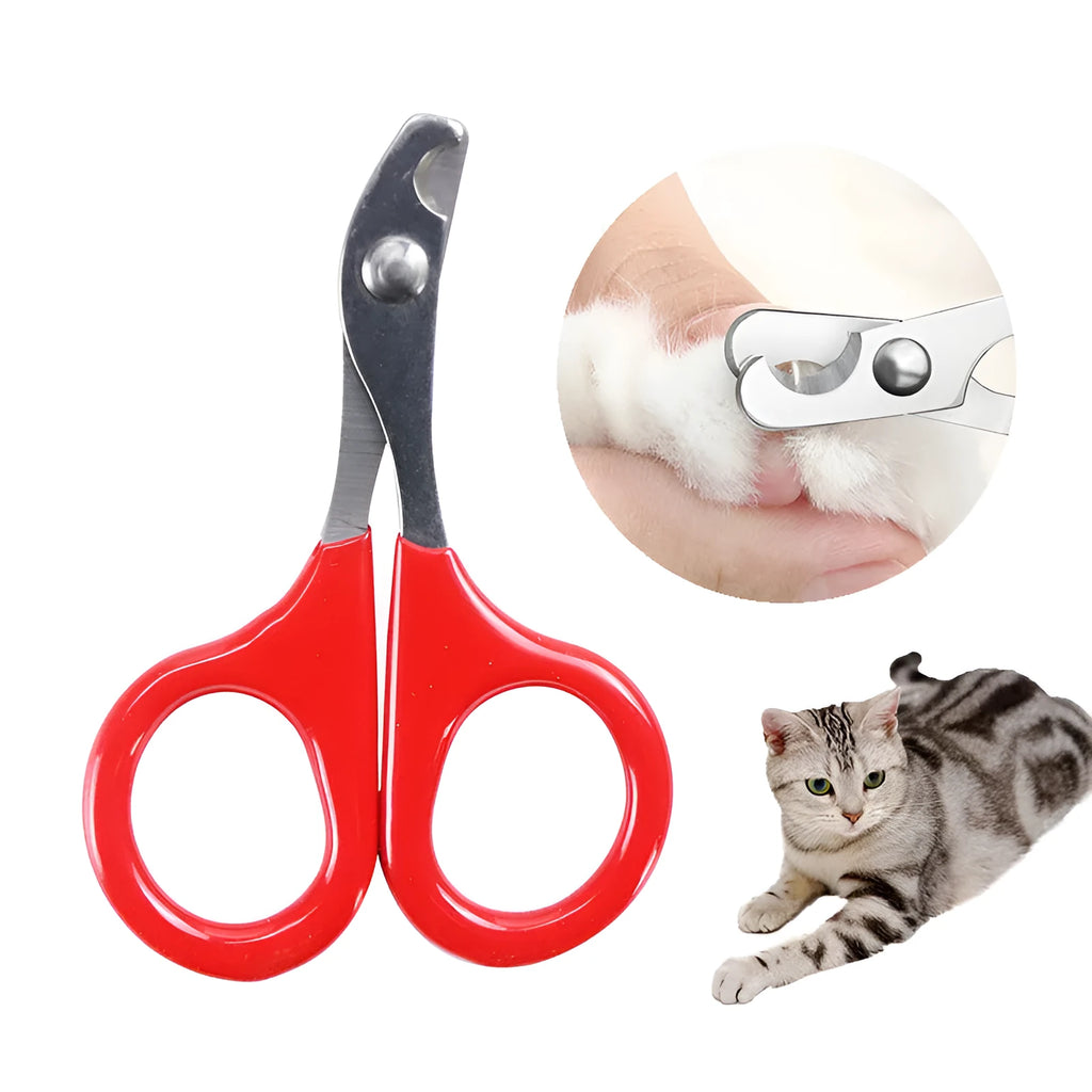 Pet nail clippers with stainless steel blades and coloured rubber handle for dog cat grooming