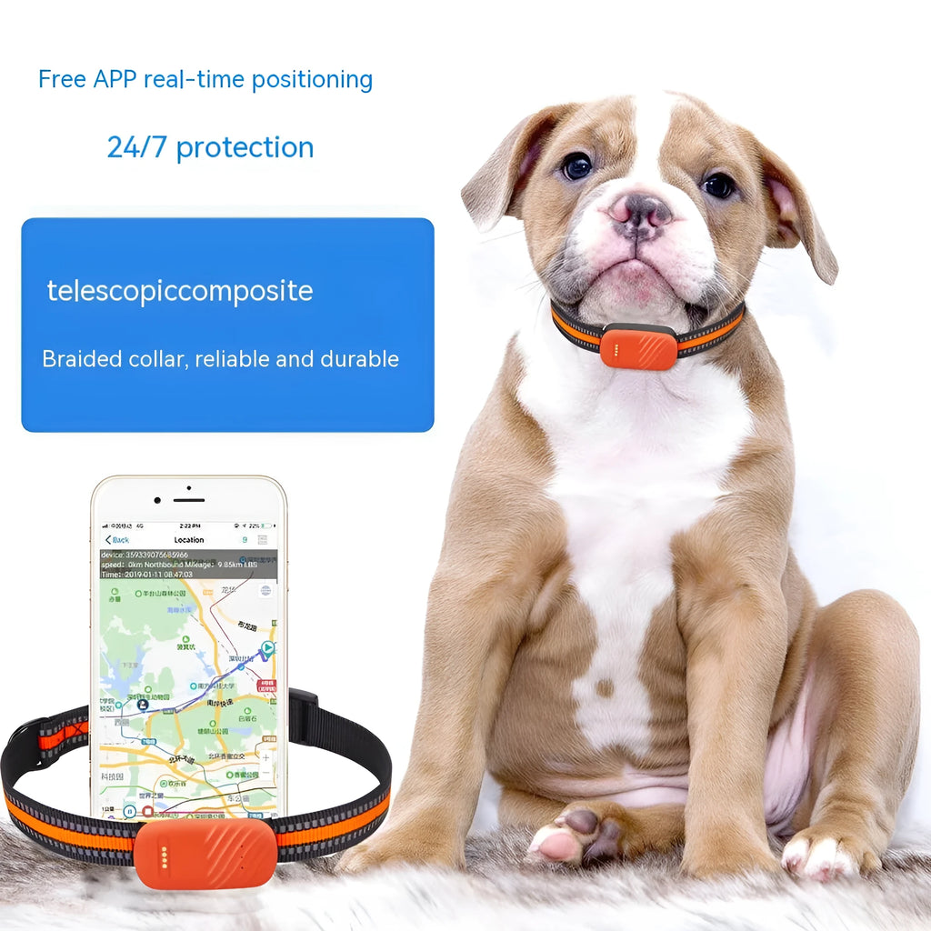 Blue and orange pet GPS tracker with 4G LTE and SOS for dogs and cats, waterproof collar mount