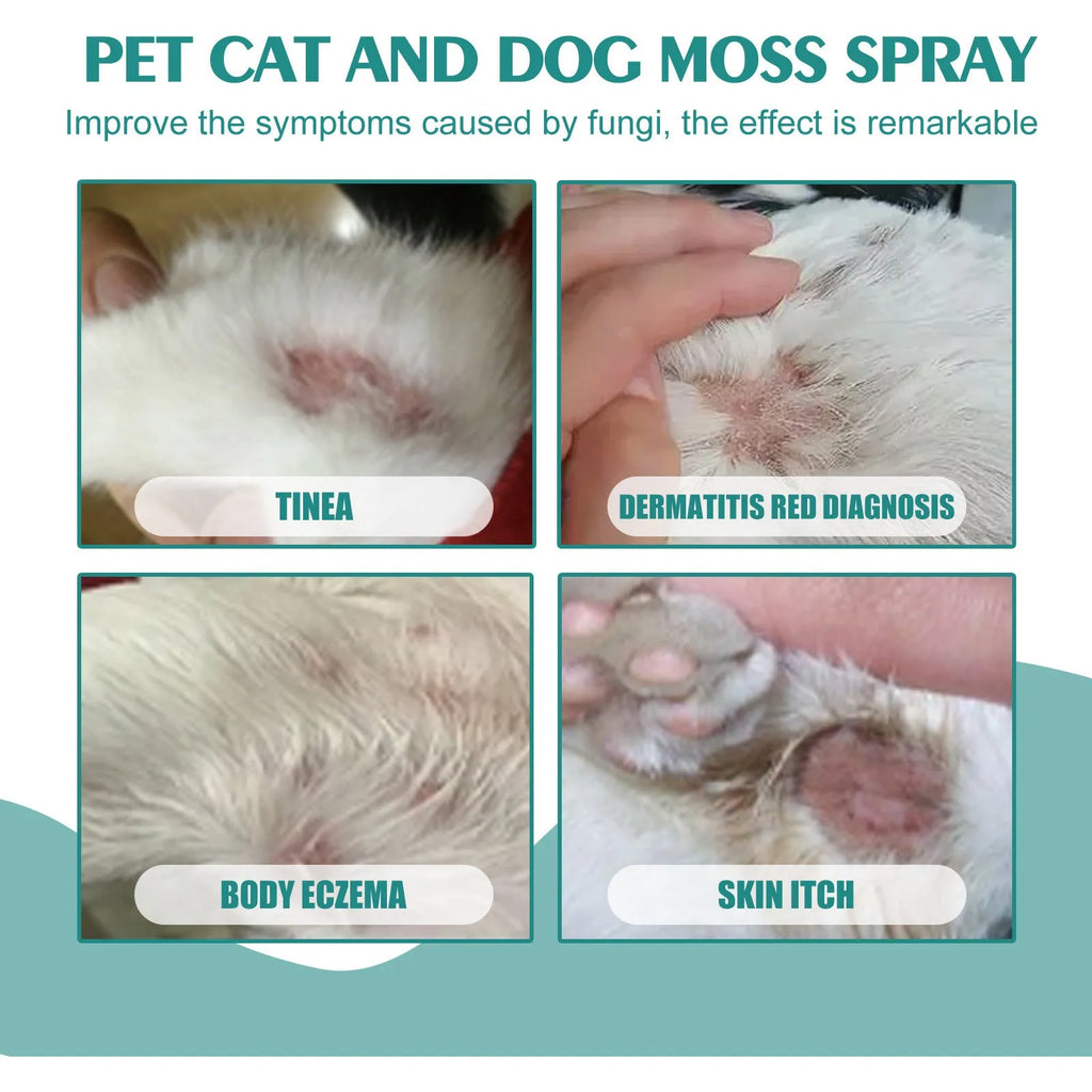 30ml pet cat dog moss spray bottle with kuh-Seng, Guanzhong, and aloe extracts for mite removal and anti-itching