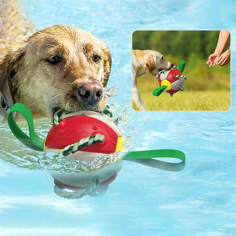 Interactive dog toy that transforms from a ball to a frisbee, engaging your pup's natural instincts and providing endless outdoor fun.