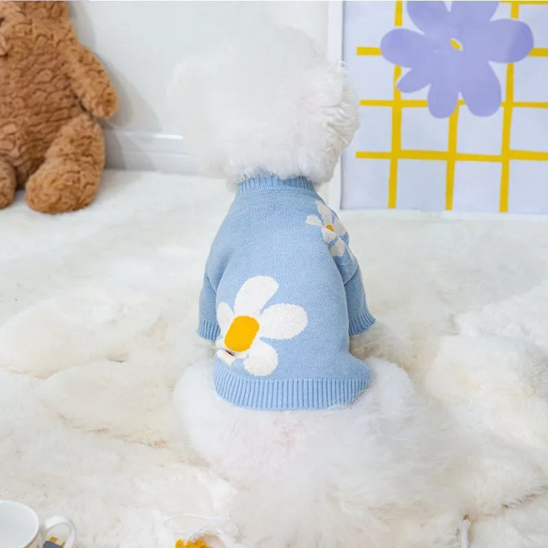 Blue polyester dog coat for a small Pomeranian on a white background.