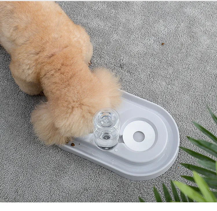 New automatic plastic pet bowl with splash-proof design and no wet mouth feature in Blove colour