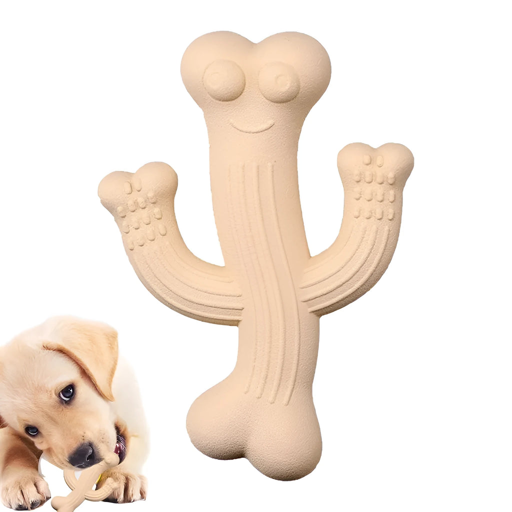 Cactus-shaped dog chew toy in beige, blue, or purple colour, shown in small and large sizes.