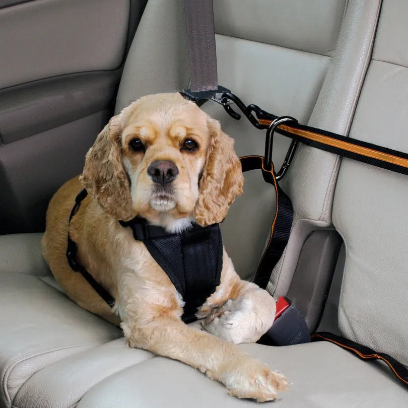Orange nylon pet safety belt dual-purpose car lanyard and traction belt for dogs and cats