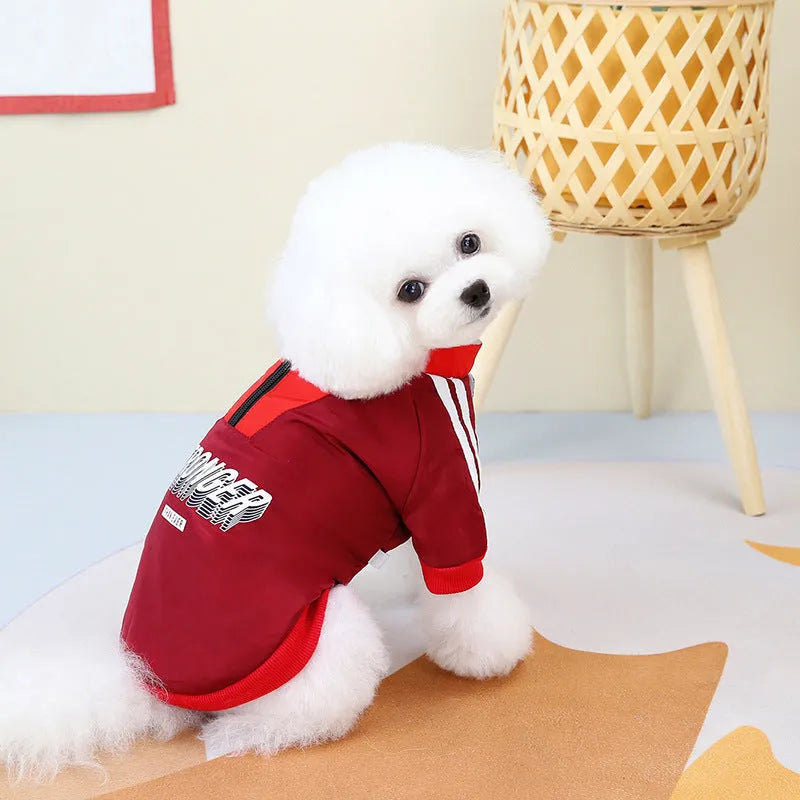 Red or blue thick cotton V-neck dog coat shown in sizes from XS to 3L for winter wear.