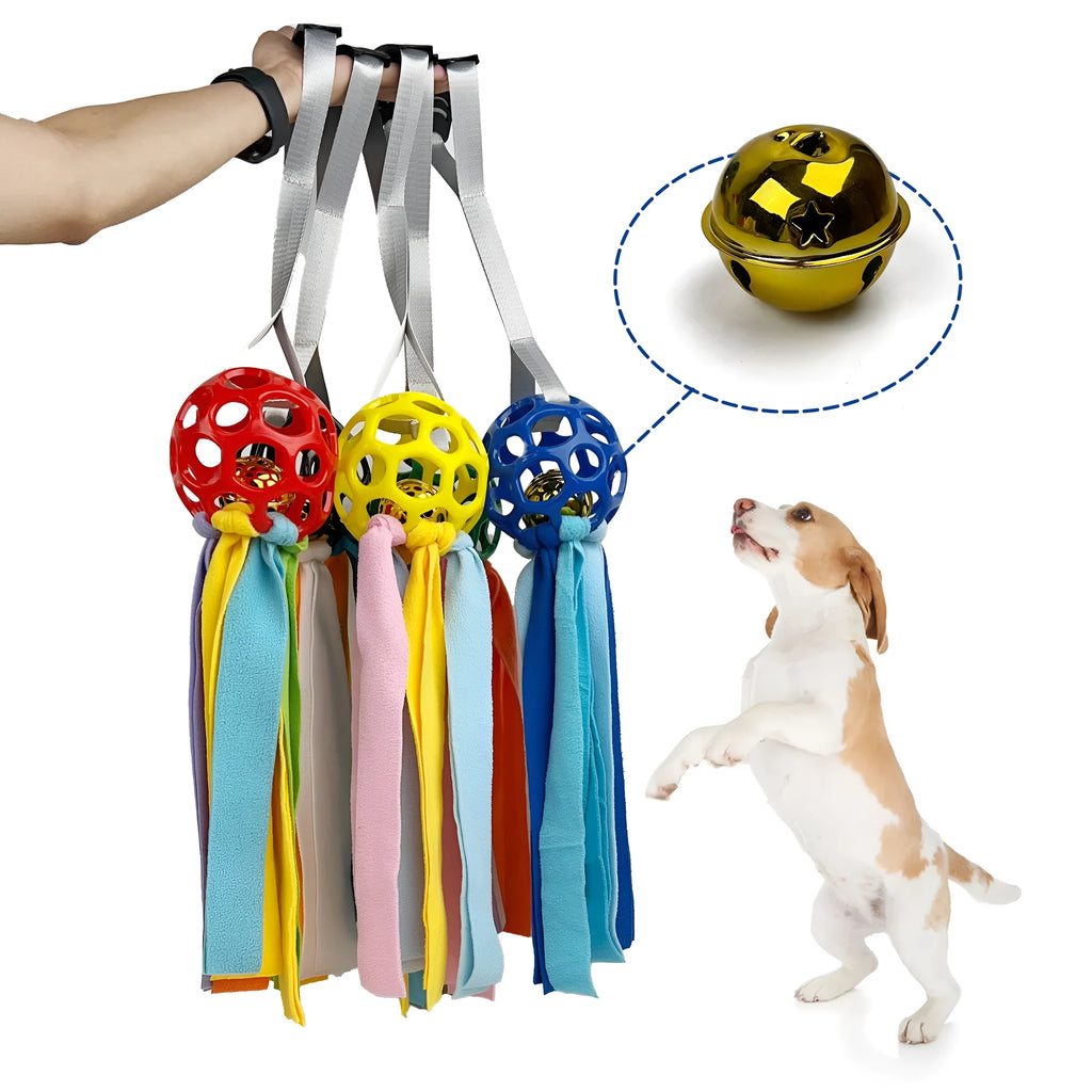 Interactive hollow TPR pet toy ball with sound bells in five colour options