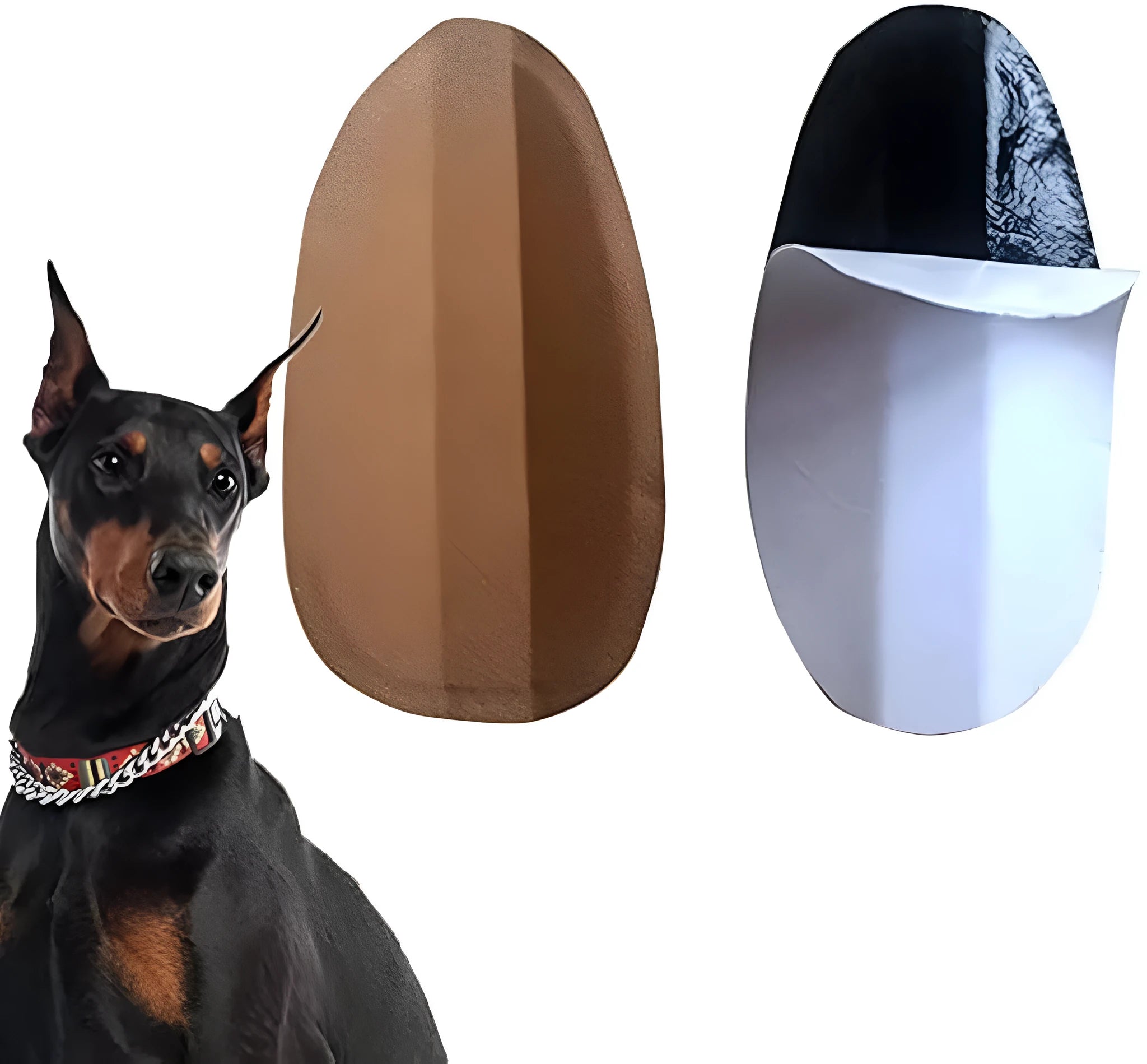 Pack of white dog ear support stickers in various sizes for Doberman, Sheltie and Corgi puppies