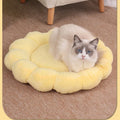 Blue half-surrounded petal design plush pet bed measuring 50x50cm for cats and small dogs