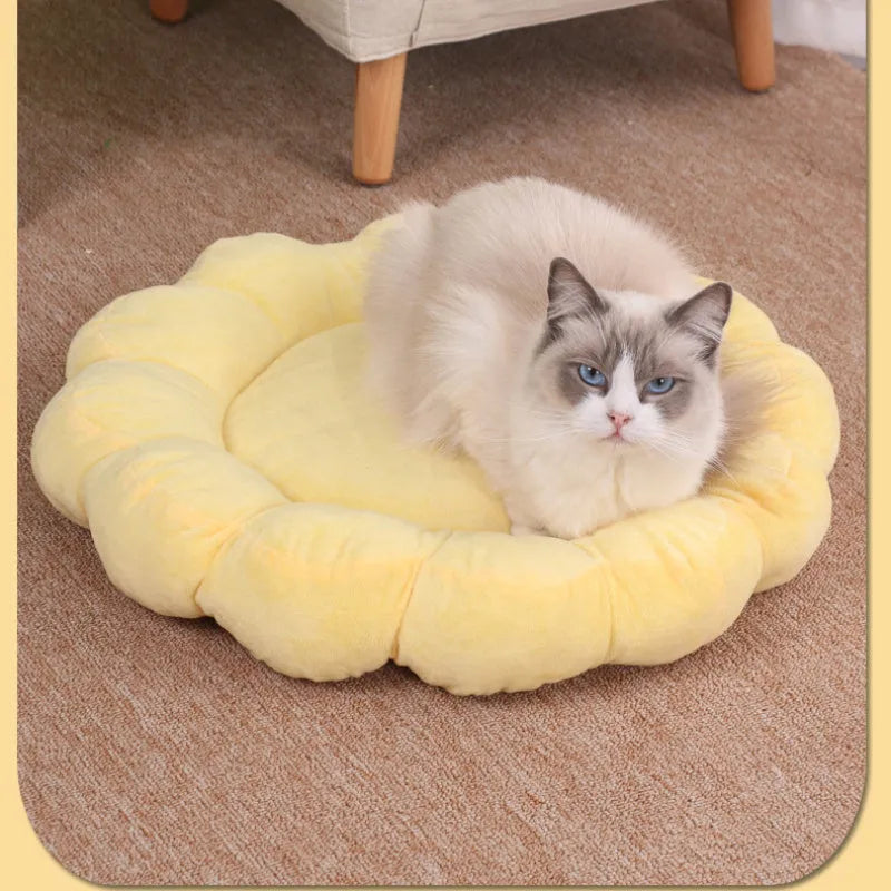 Blue half-surrounded petal design plush pet bed measuring 50x50cm for cats and small dogs