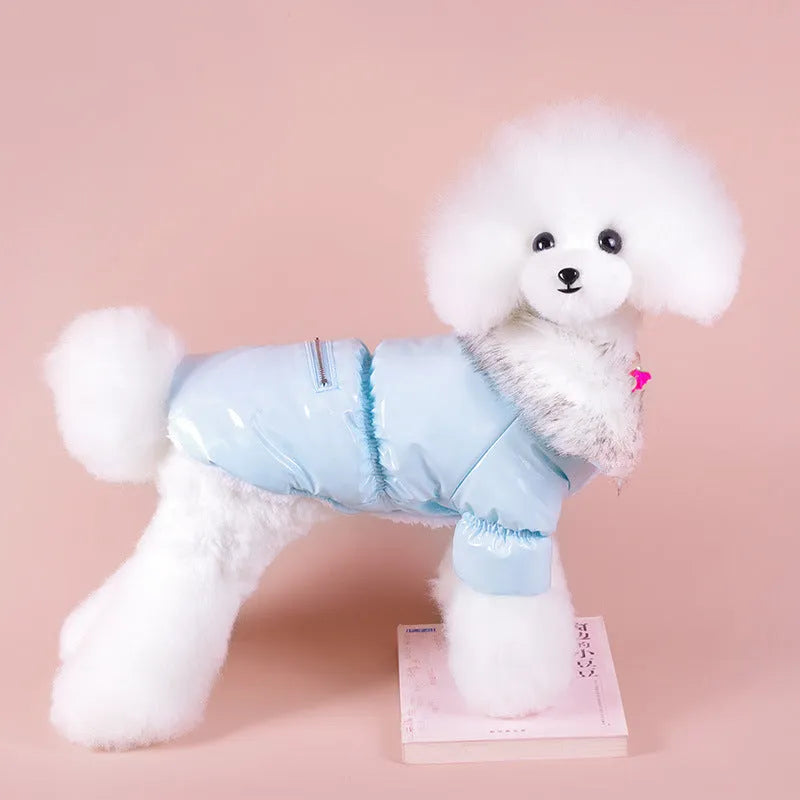 Blue British-style cotton dog jacket on a pet, showing winter coat design.