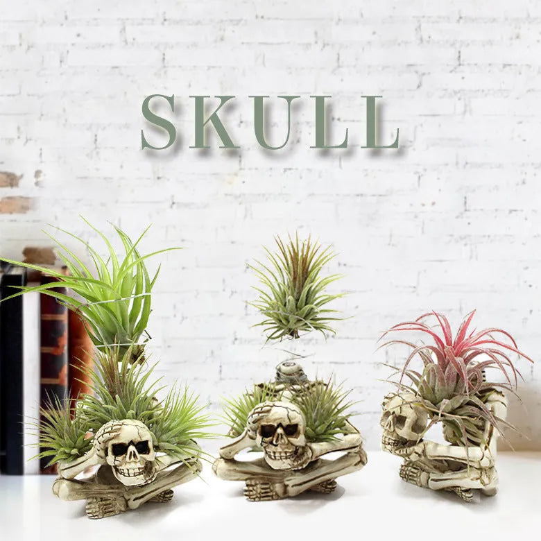 Gothic skull design resin potted bracket for tillandsia air plant, showing iron base and overall dimensions.