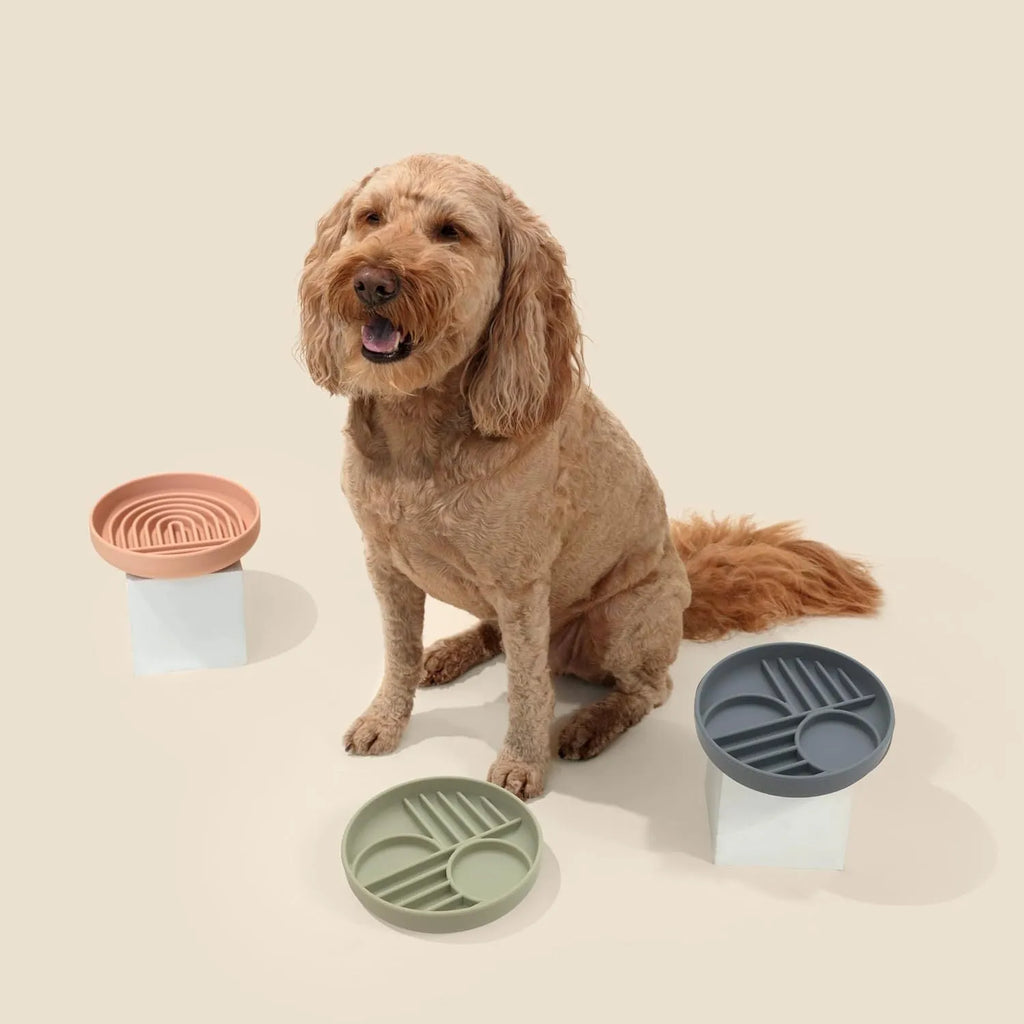 Slowdown Bowl silicone dog slow feeder with ridges in beige colour on white background