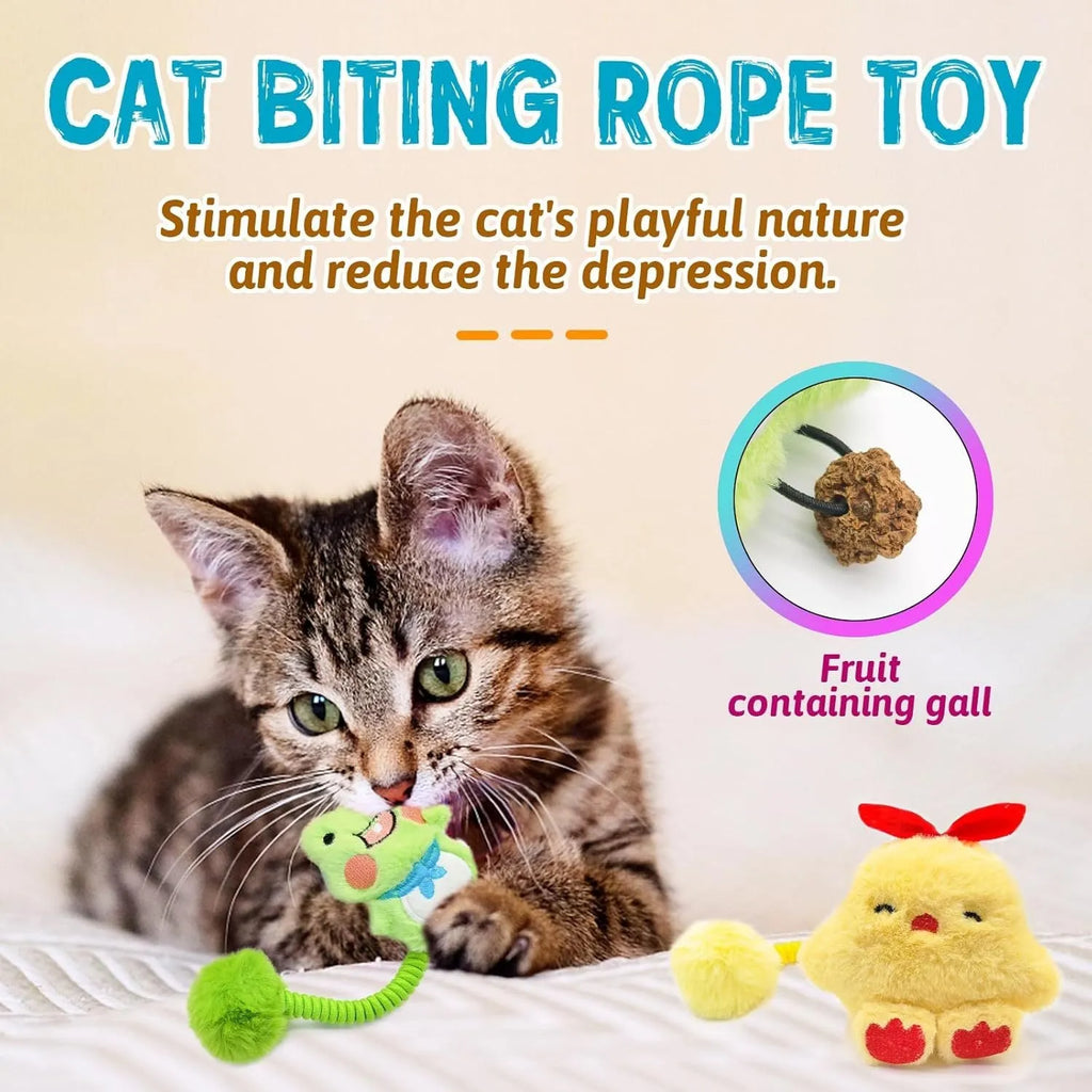 Four-in-one cat interactive toys with silvervine fruit, spring, fuzzy ball, and plush animal designs