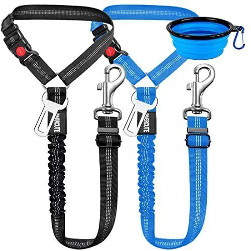 Nylon dog leash with metal buckle in one of eleven colour options including green, blue, pink and red.