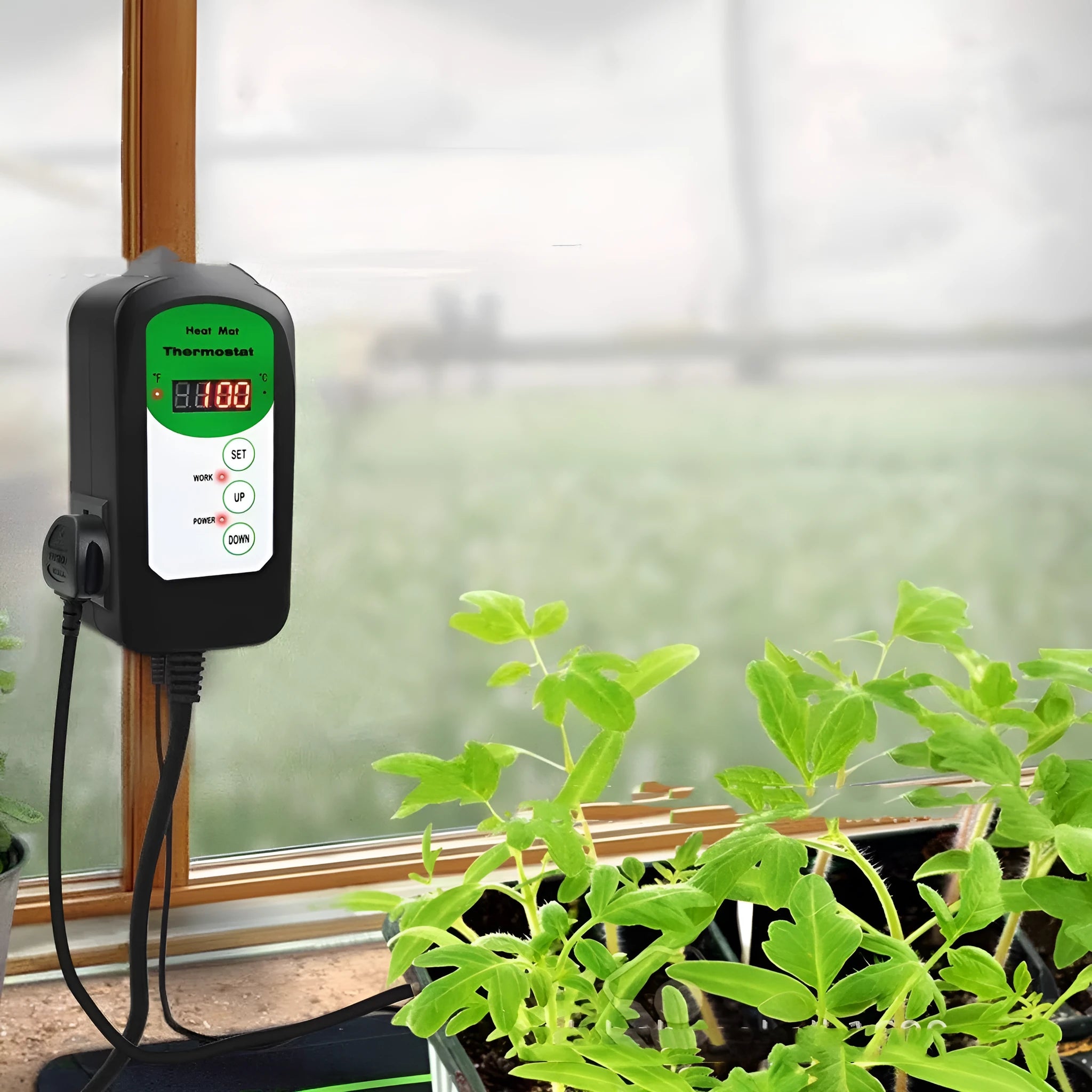 BH1912020 digital temperature and humidity controller with LCD display on a white background.