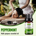 10ml mint essential oil water-soluble for humidifier diffuser aromatherapy cooling scent in stock