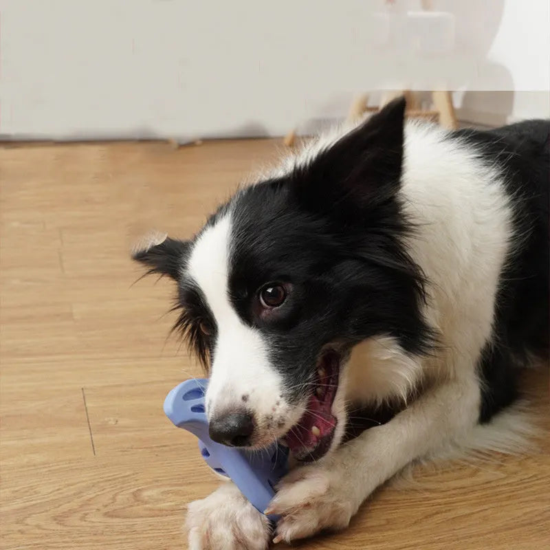 Blue bite resistant boomerang-shaped dog toy for medium and large breeds on a plain background.
