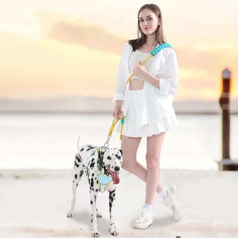 Nylon dog traction leash with a black foam handle on a coloured rope.