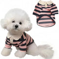 Cute dog polo shirt with striped collar for male puppy, breathable fabric, black colour