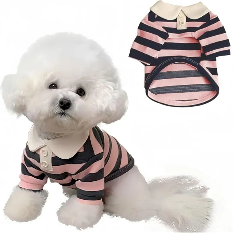 Cute dog polo shirt with striped collar for male puppy, breathable fabric, black colour