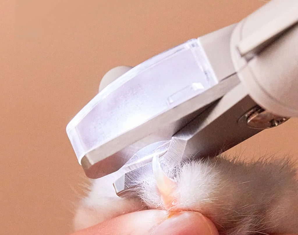 White LED pet nail clippers with a transparent anti-splash guard and an integrated nail file on a grey background.