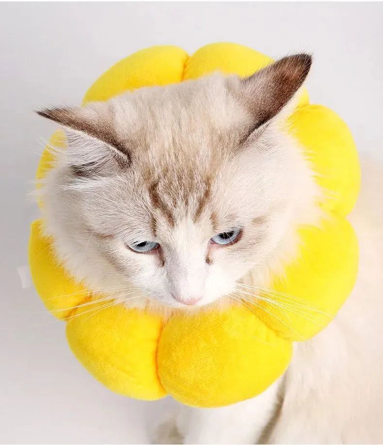 Sunflower patterned cotton recovery collar for a cat or small dog, shown with adjustable hook-and-loop strap.
