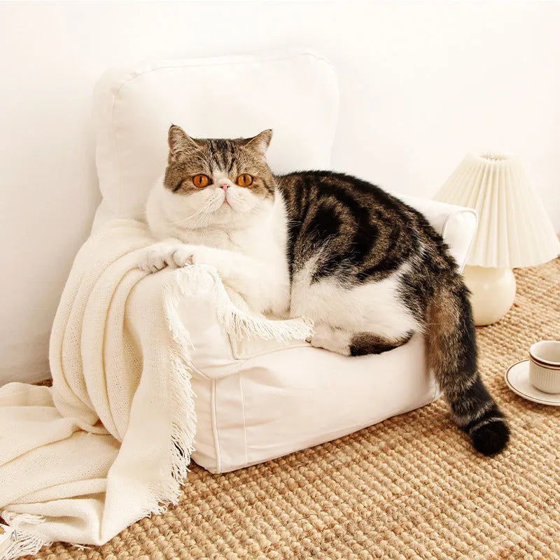 Nordic sofa cat pet bed 47x35cm cloth in blue plaid for small indoor pets