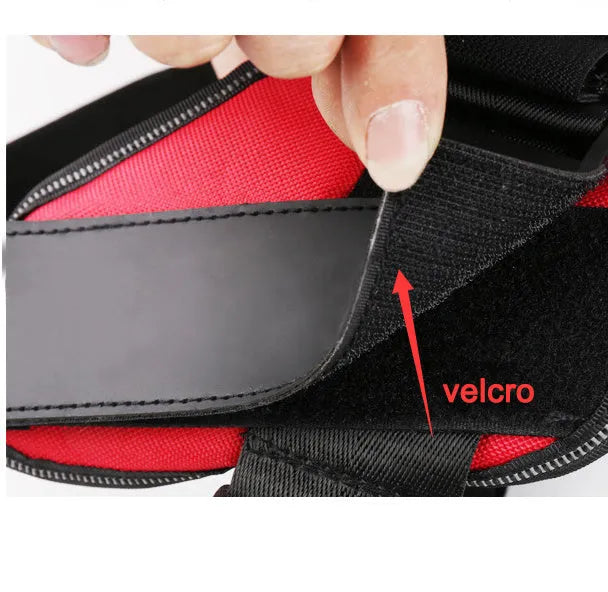 Reflective adjustable dog harness vest with top handle on a dog